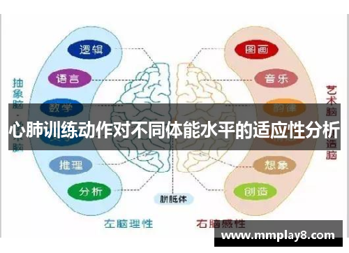 心肺训练动作对不同体能水平的适应性分析