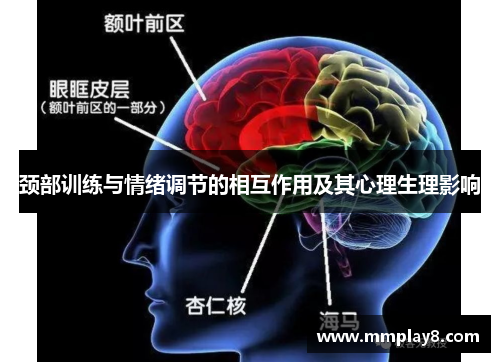 颈部训练与情绪调节的相互作用及其心理生理影响